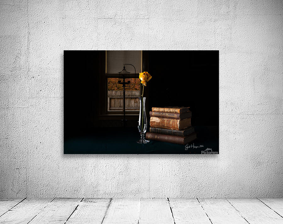 Yellow Rose by Window Wall Preview