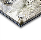 Blarney Castle Door Ireland Acrylic print