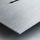 Eiffel Tower in Paris France Metal print