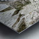 Blarney Castle Door Ireland Metal print