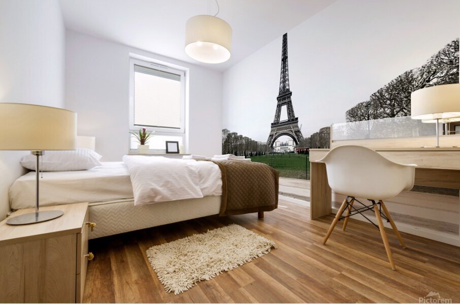 Eiffel Tower in Paris France Mural print