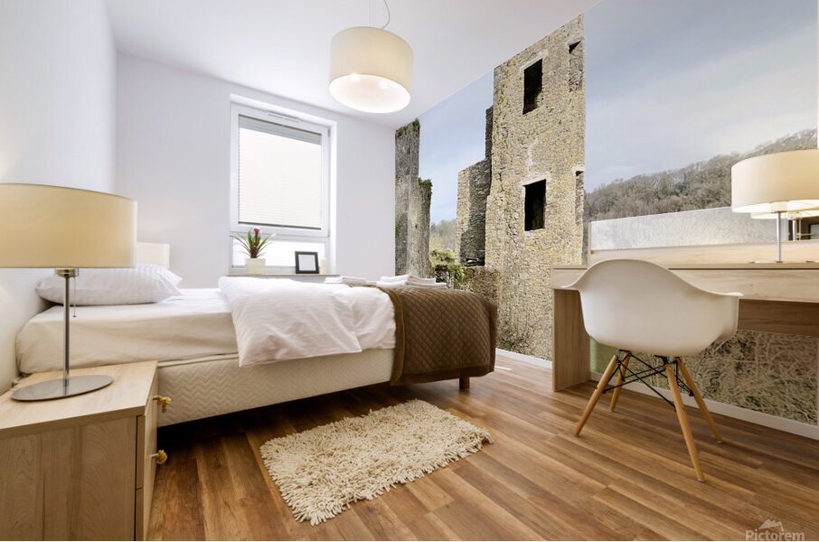 Blarney Castle Tower Ireland Mural print