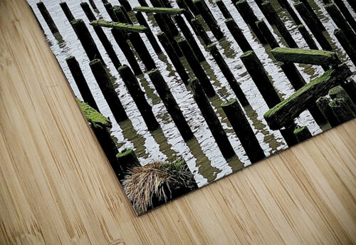 Pier Ruin in Astoria Oregon JJones Arts puzzle