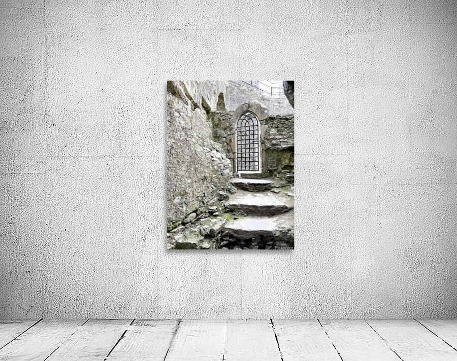 Blarney Castle Door Ireland Wall Preview