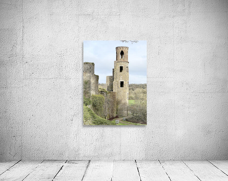 Blarney Castle Tower Ireland Wall Preview