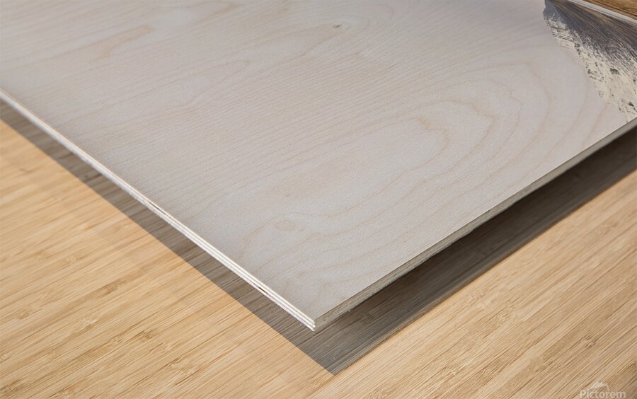 Heoinsfjorour Iceland Wood print