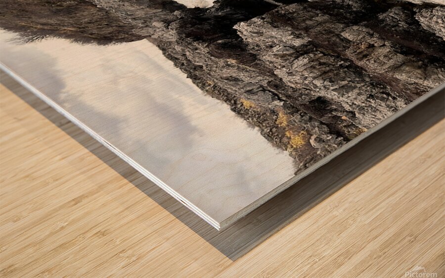 Hraunfossar 1 Iceland Wood print