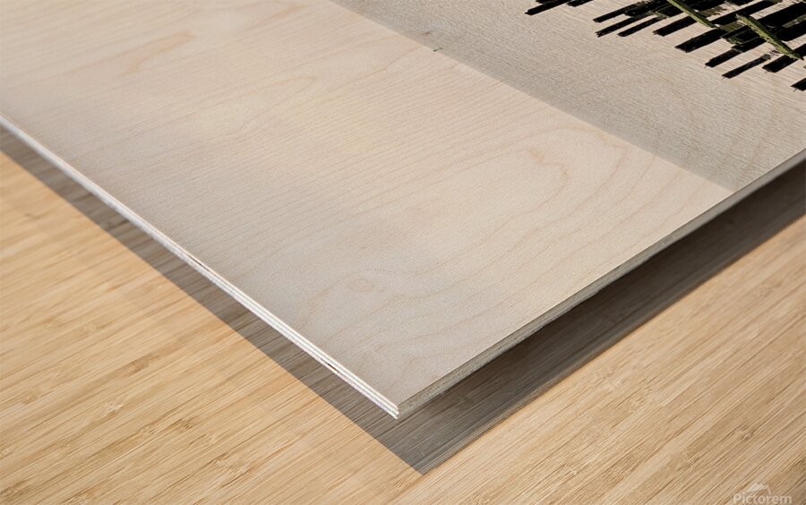 Pier Ruin in Astoria Oregon Wood print