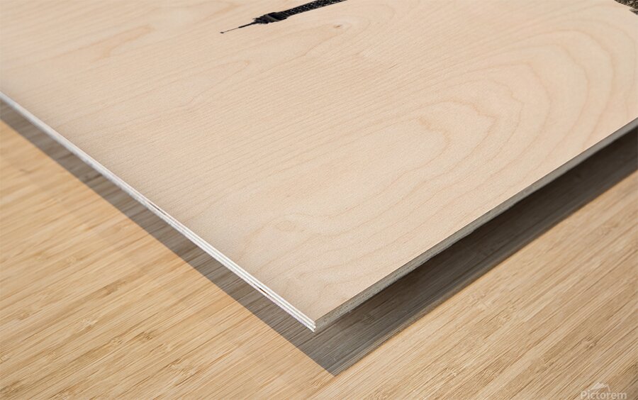 Eiffel Tower in Paris France Wood print