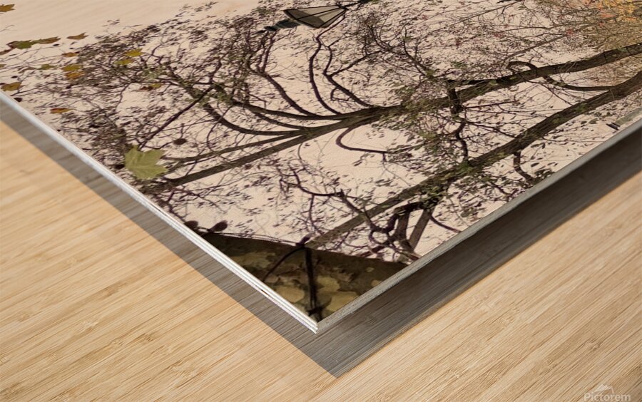 Notting Hill in London United Kingdom Wood print