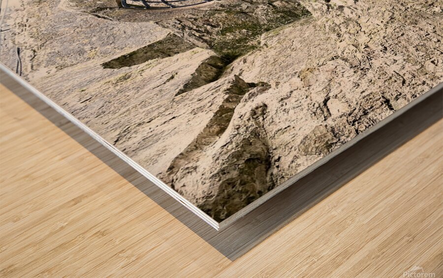 Blarney Castle Door Ireland Wood print