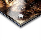 Twisted lion face Acrylic print