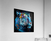 Blue and  black Tiger  Acrylic Print