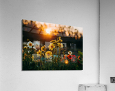Flowers landscaping Acrylic Print