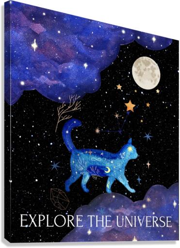 Explore the universe  Canvas Print