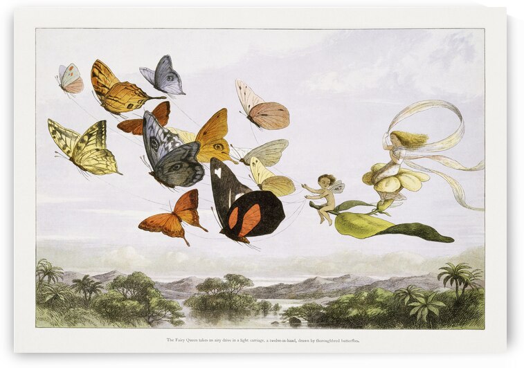 The Fairy Queen Takes an Airy Drive in a Light Carriage a Twelve–in–hand 1870 by Goldfishwallart