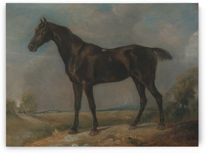 Golding Constables Black Riding Horse by John Constable between 1805 and 1810  by Goldfishwallart