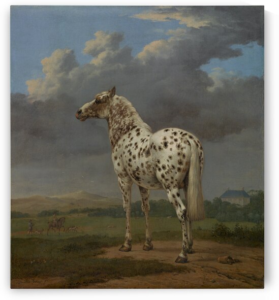 The Piebald Horse - The spotted stallion in a hilly landscape by Paulus Potter  by Goldfishwallart