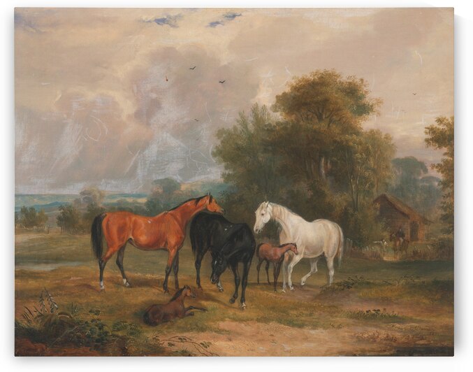 Horses Grazing- a Grey Stallion Grazing with Mares in a Meadow by Francis Calcraft Turner  by Goldfishwallart