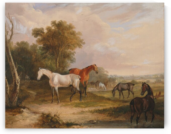  Horses Grazing- a Grey Stallion Grazing with Mares in a Meadow  by Francis Calcraft Turner by Goldfishwallart