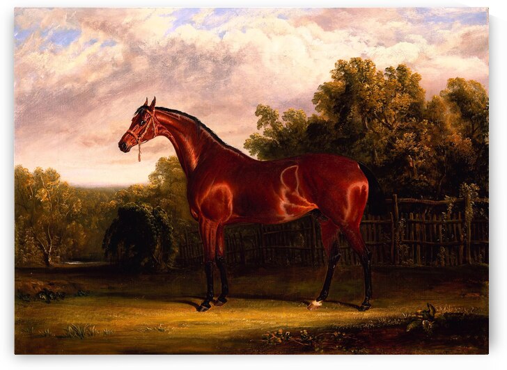 Negotiator a Bay Horse in a Landscape by John Frederick Herring by Goldfishwallart