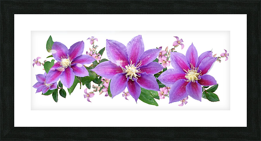 Purple Flowers Picture Frame print
