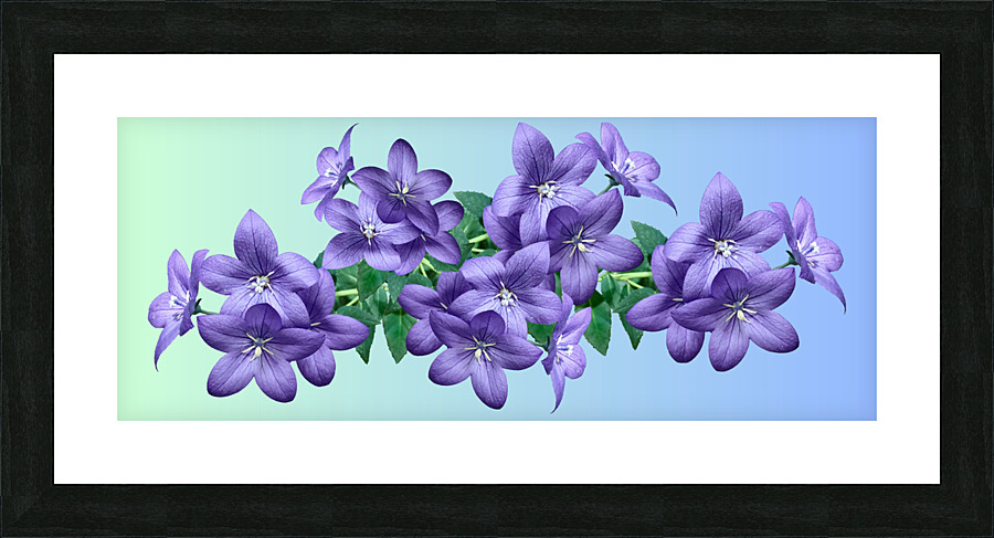 Purple flowers Picture Frame print