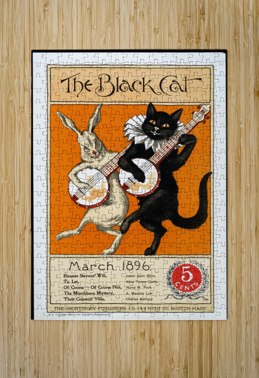 The Black cat and the white rabbit vintage poster by
