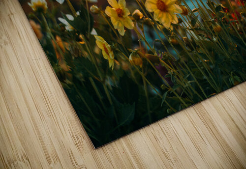 Flowers landscaping Goldfishwallart puzzle
