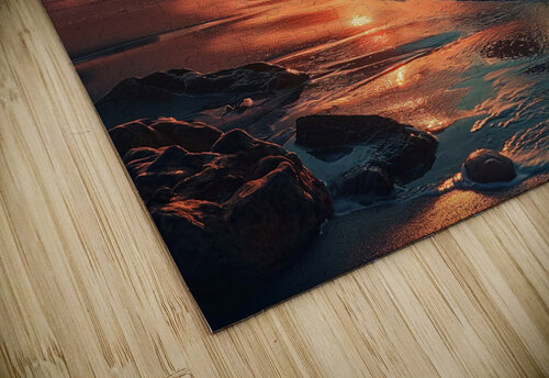 Beach wall art Goldfishwallart puzzle