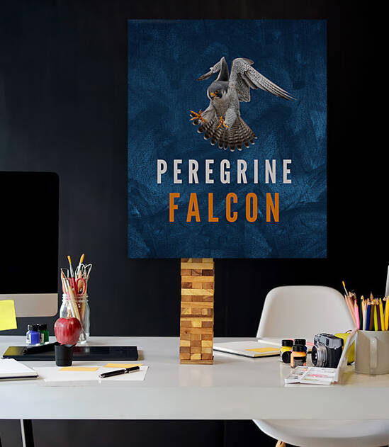 Peregrine Falcon by Goldfishwallart