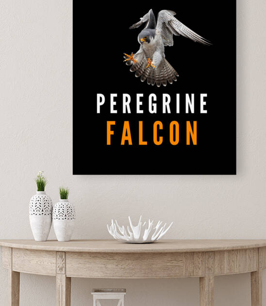 Peregrine Falcon  by Goldfishwallart