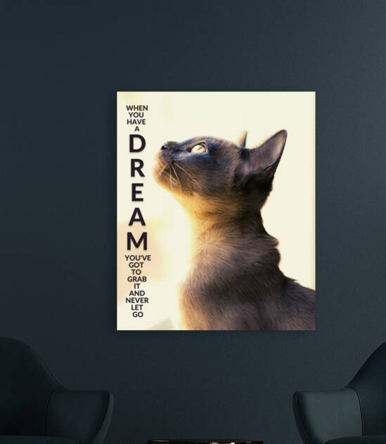 When you have a DREAM  by Goldfishwallart