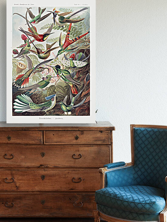 Trochilidae–Kolibris from Kunstformen der Natur by Goldfishwallart