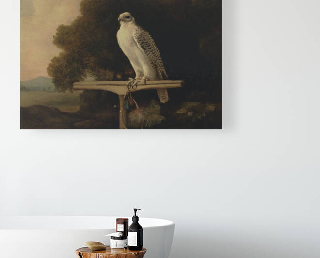 Greenland Falcon By George Stubbs  by Goldfishwallart