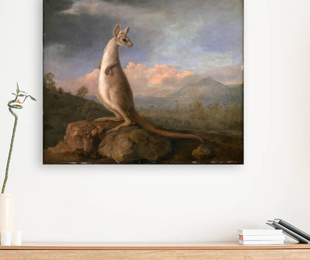 The Kongouro from New Holland by George Stubbs by Goldfishwallart