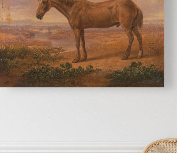   Old Billy a Draught Horse Aged 62 by Charles Towne  by Goldfishwallart