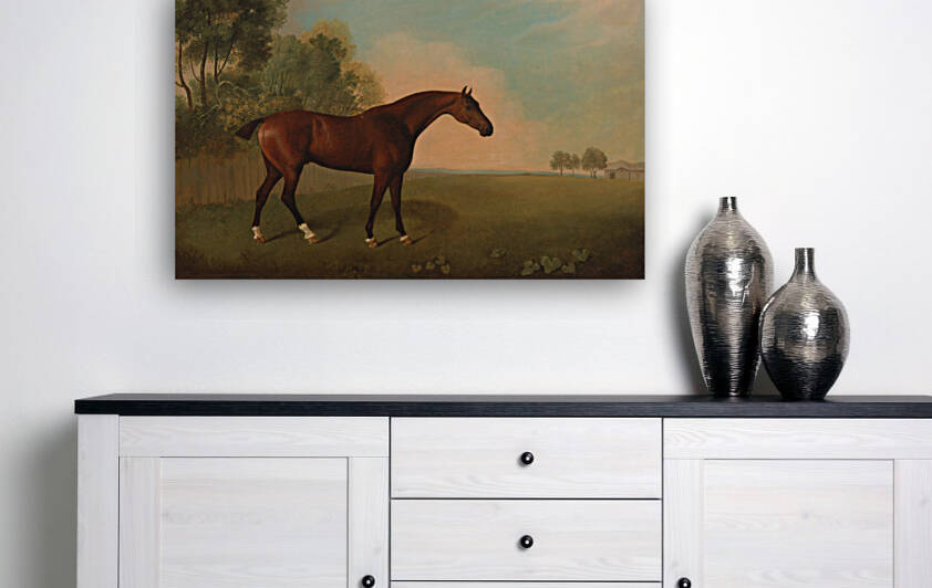   A Bay Horse in a Field by John Boultbee  by Goldfishwallart