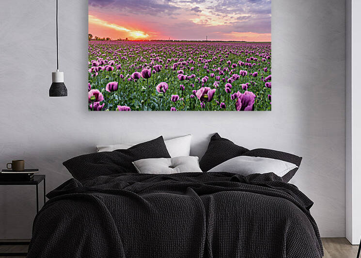 Flowers landscape by Goldfishwallart