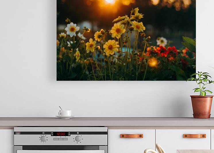 Flowers landscaping by Goldfishwallart
