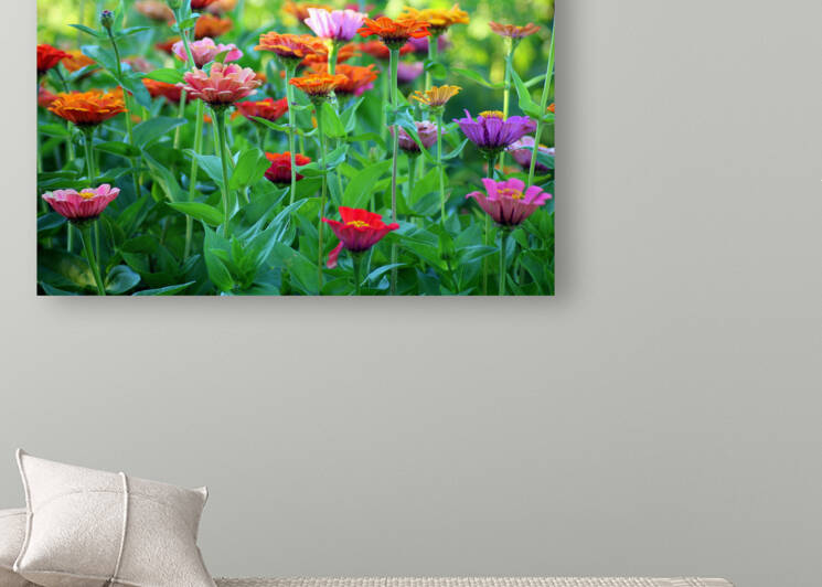  Colorful flowers  by Goldfishwallart