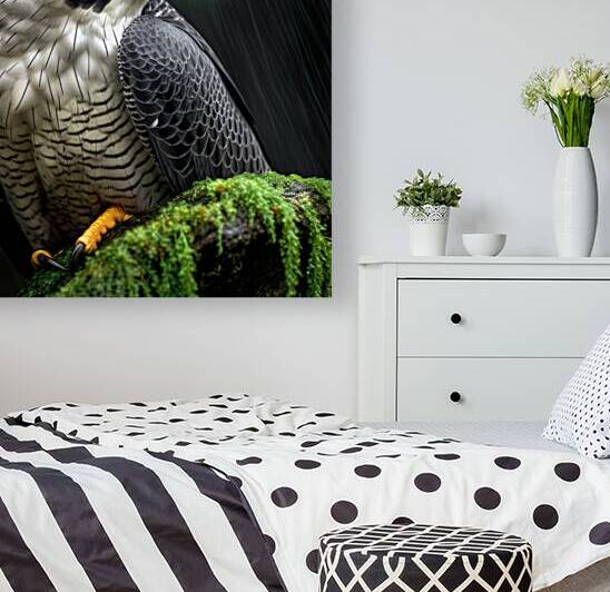 Magestic and beautiful peregrine falcon wall art by Goldfishwallart