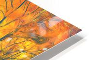 Be like the fox HD Metal print