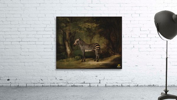  Zebra - George Stubbs Wall Preview