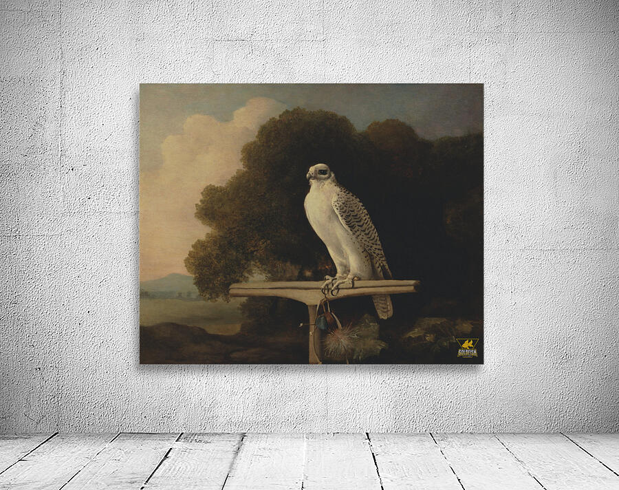 Greenland Falcon By George Stubbs  Wall Preview