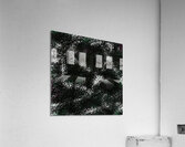 Colors 300 by Kristalin Davis 1 Acrylic Print