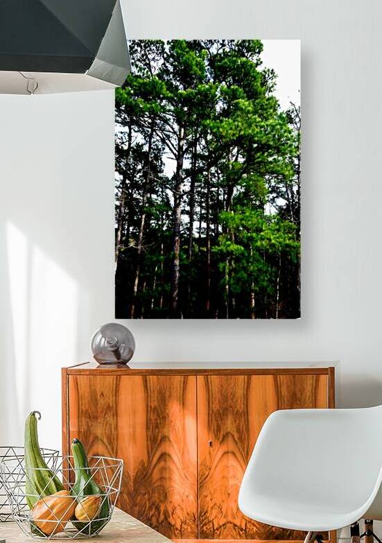 Trees 32 by Kristalin Davis 1 by Kristalin Davis