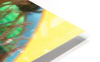 Heres looking at you HD Metal print