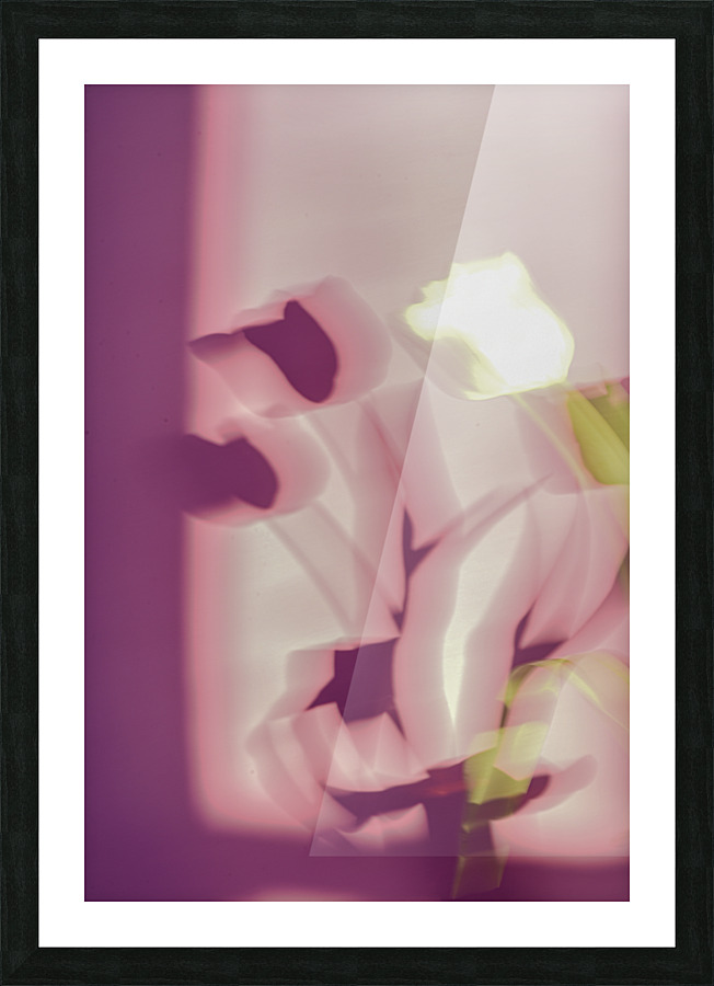 my beautiful tulips Picture Frame print
