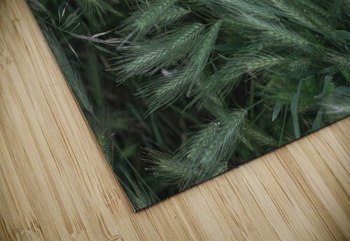 dew Oksana Demianets puzzle